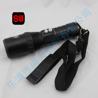 SW3204F(xin)(chng),yʽβιԴ