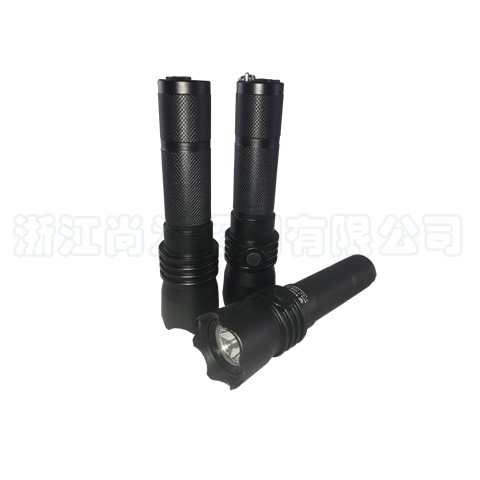 SW2101防爆強(qiáng)光電筒